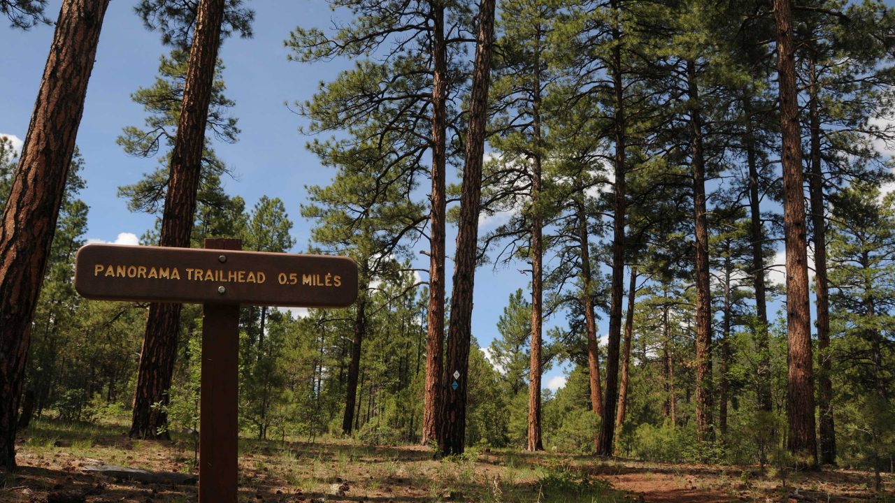 Timber Mesa Trail